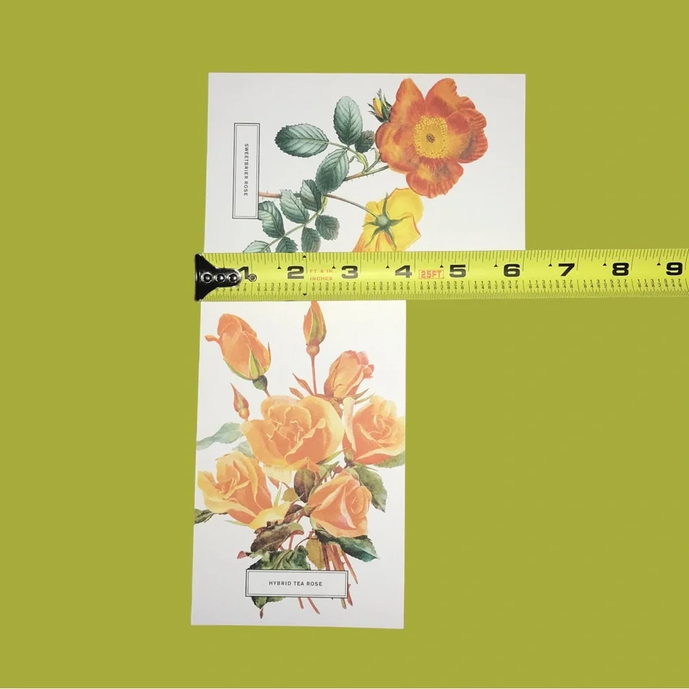 NWOT 100 PCS.Roses Postcards In A Box